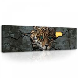 Consalnet Jaguár, vászonkép, 145x45 cm méretben (C5-10090O3)
