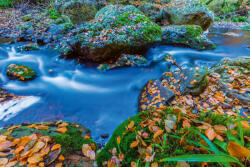 Dimex Vlies Fotótapéta - Belgian Ardennes - 375x250 cm (MS-5-3093)