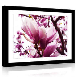 Consalnet Vászonkép, Magnóliák 80x60 cm méretben (C5-11301O6)