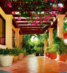 Dimex TERRACE fotótapéta, poszter, vlies alapanyag, 225x250 cm (MS-3-0045)