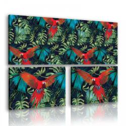 Consalnet Vászonkép 3 darabos, Papagáj 80x55 cm méretben (C5-11088S16)