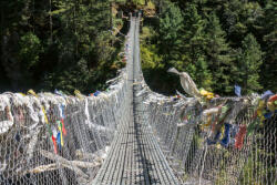 Dimex Vlies Fotótapéta - Hillary suspension bridge - 375x250 cm (MS-5-0636)