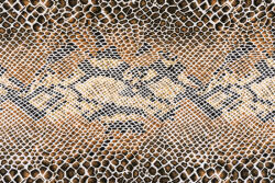 Dimex Vlies Fotótapéta - snake leather for background - 375x250 cm (MS-5-2580)