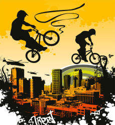 Dimex BICYCLE fotótapéta, poszter, vlies alapanyag, 225x250 cm (MS-3-0326)