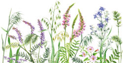 Dimex WILD FLOWERS fotótapéta, poszter, vlies alapanyag, 375x250 cm (MS-5-1301)