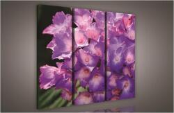 Consalnet Virágok, 3 darabos vászonkép, 90x80 cm méretben (C5-904S6)