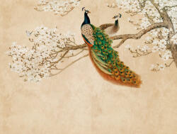 AS Fotótapéta, Páva pár a liliomfán, Prémium, 371x280 cm (AS-38236-1)