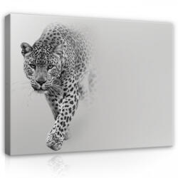 Consalnet Vászonkép, Jaguár, 100x75 cm méretben (C5-13997O1)
