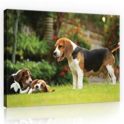 Consalnet Beagle család, vászonkép, 60x40 cm méretben (C5-11375O4)