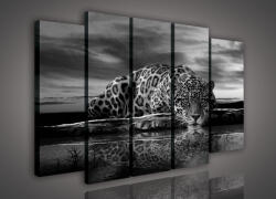 Consalnet Vászonkép, 5 darabos Jaguár 150x100 cm méretben (C5-171S12)