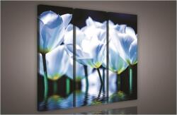 Consalnet Kék tulipánok, 3 darabos vászonkép, 90x80 cm méretben (C5-973S6)
