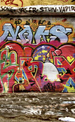 Dimex GRAFFITI STREET fotótapéta, poszter, vlies alapanyag, 150x250 cm (MS-2-0321)