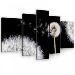 Consalnet Vászonkép, 5 darabos, Pitypangok 170x100 cm méretben (C5-10165S4A)