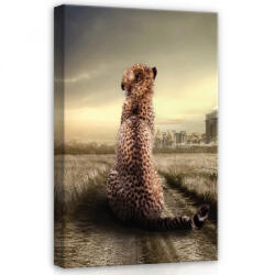 Consalnet Gepárd, vászonkép, 40x60 cm méretben (C5-12521O4)