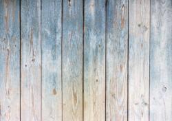 Consalnet Kék fapalánk poszter, fotótapéta, Vlies (368 x 254 cm) (C1-10670V8)