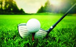 Consalnet Gólf poszter, fotótapéta, Vlies (416 x 254 cm) (C1-1621VEXXXL)