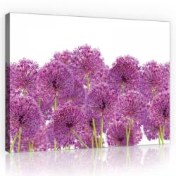 Consalnet Vászonkép, Díszhagymák, 100x75 cm méretben (C5-11398O1)