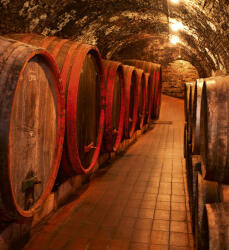 Dimex WINE BARRELS fotótapéta, poszter, vlies alapanyag, 225x250 cm (MS-3-0247)