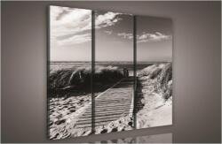 Consalnet Út a tengerhez, 3 darabos vászonkép, 90x80 cm méretben (C5-982S6)