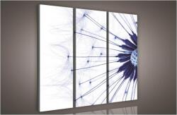 Consalnet Pitypang, 3 darabos vászonkép, 90x80 cm méretben (C5-981S6)