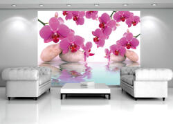 Consalnet Orchideák poszter, fotótapéta (104 x 70, 5 cm) (C1-151VEM)