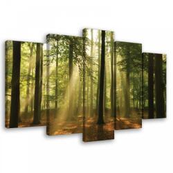 Consalnet Vászonkép 5 darabos, Erdő a napsütésben 100x60 cm méretben (C5-10331S17)