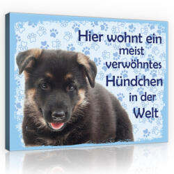 Consalnet Vászonkép, Kutya - Hier wohnt ein meist verwöhntes Hündchen in der Welt, 100x75 cm méretben (C5-11437O1)