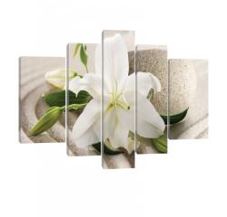 Consalnet Vászonkép, 5 darabos, Fehér liliom 170x100 cm méretben (C5-20019S4A)