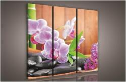 Consalnet Orchidea zen, 3 darabos vászonkép, 90x80 cm méretben (C5-106S6)
