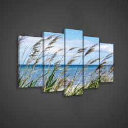 Consalnet Vászonkép 5 darabos, Nádas tengerpart 100x60 cm méretben (C5-20044S17)