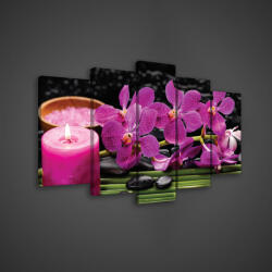Consalnet Vászonkép 5 darabos, Rózsaszín Orchidea 100x60 cm méretben (C5-2464S17)