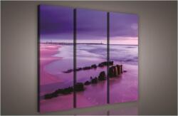 Consalnet Tenger, 3 darabos vászonkép, 90x80 cm méretben (C5-424S6)