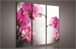 Consalnet Orchidea, 3 darabos vászonkép, 90x80 cm méretben (C5-421S6)