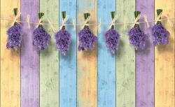 Consalnet Levendula poszter, fotótapéta, Vlies (104 x 70, 5 cm) (C1-1983VEM)