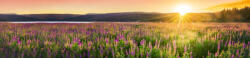 Dimex SUNSET OVER FIELD öntapadós konyhai poszter, 260x60 cm (KI-260-145)