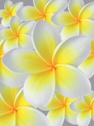 Consalnet Virágok poszter, fotótapéta, Vlies (184x254 cm, álló) (C1-033V4A)