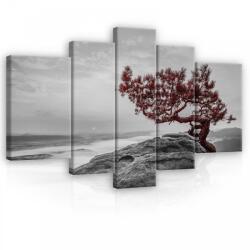 Consalnet Vászonkép, 5 darabos, Fa a sziklán 170x100 cm méretben (C5-11771S4A)