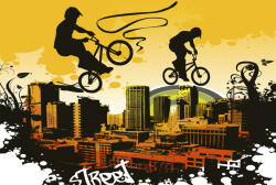 Dimex BICYCLE fotótapéta, poszter, vlies alapanyag, 375x250 cm (MS-5-0326)