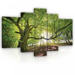 Consalnet Vászonkép, 5 darabos, Erdő 170x100 cm méretben (C5-11799S4A)