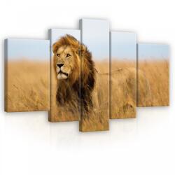 Consalnet Vászonkép, 5 darabos, Oroszlán 170x100 cm méretben (C5-11750S4A)