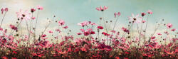 Dimex COSMOS FLOWERS öntapadós konyhai poszter, 180x60 cm (KI-180-126)
