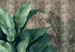 Consalnet Zöld levelek foltos barna háttérrel poszter, fotótapéta, Vlies (416 x 254 cm) (C1-15545VEXXXL)