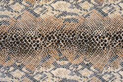 Dimex Vlies Fotótapéta - Snake texture - 375x250 cm (MS-5-2584)
