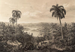 Consalnet Vintage trópusi kép poszter, fotótapéta (400 x 280 cm) (C1-14593VX8)