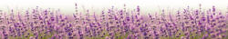 Dimex FABULOUS LAVENDER öntapadós konyhai poszter, 260x60 cm (KI-260-125)