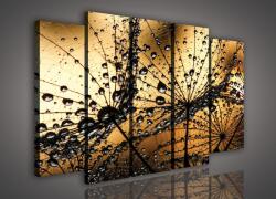 Consalnet Vászonkép, 5 darabos Vízcseppes pitypang 150x100 cm méretben (C5-984S12)