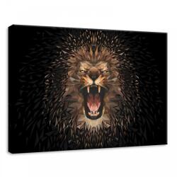 Consalnet Oroszlán, vászonkép, 70x50 cm méretben (C5-11559O7)