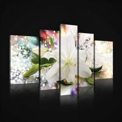 Consalnet Vászonkép, 5 darabos, Liliom 170x100 cm méretben (C5-20023S4A)