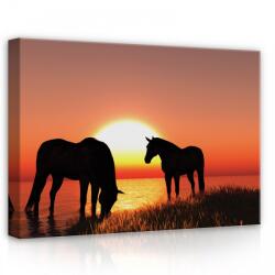 Consalnet Lovak, vászonkép, 70x50 cm méretben (C5-13603O7)