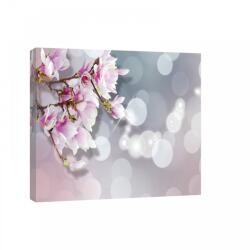 Consalnet Magnólia, vászonkép, 60x40 cm méretben (C5-20028O4)
